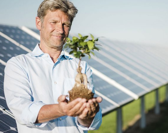 Agrivoltaique: panneaux solaires et agriculture, Renantis