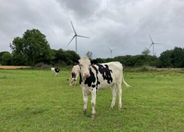 Projet éolien de Quélouarn : informer et associer le territoire